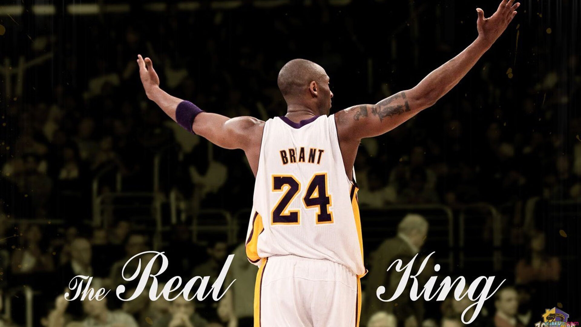 掘金冲垮奇才，德罗赞成为关键先生