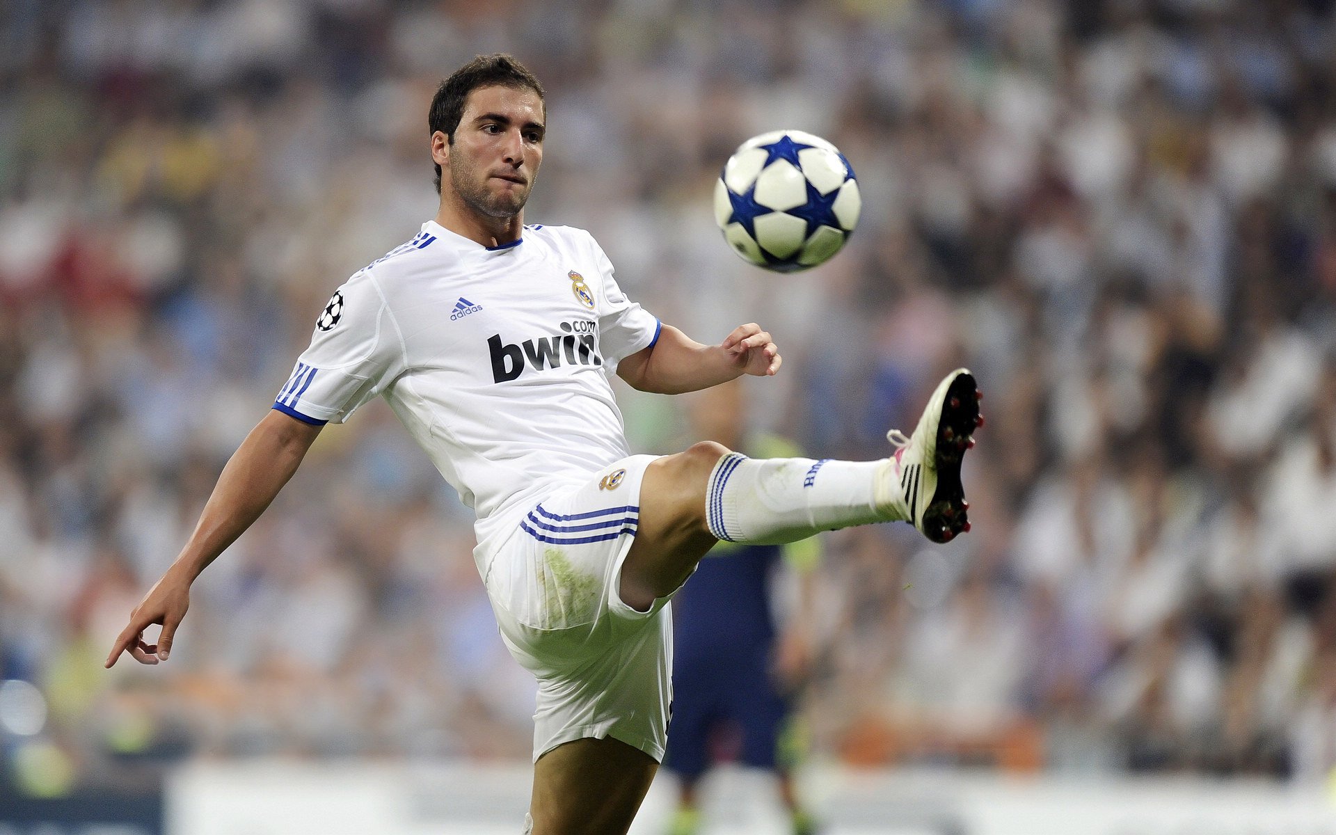 温网精神点燃拉沃尔杯，梅德韦杰夫带队上演史诗级翻盘